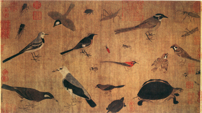 五代黄筌写生珍禽图